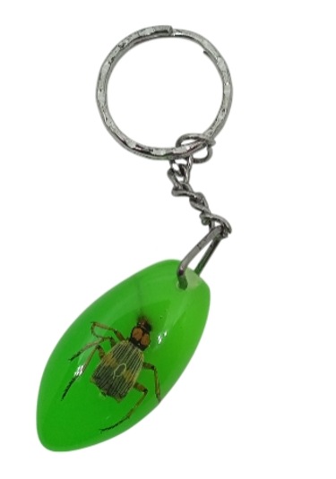 Fosforlu Reçinede Böcek Anahtarlık No3 Yada Kolye Ucu