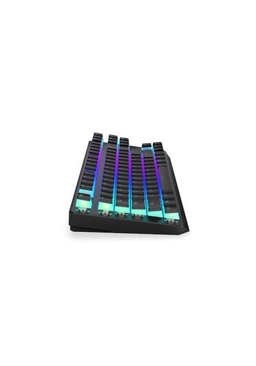 Endorfy Thock Wireless Tkl Pudding Kailh Red Switch Rgb İngilizce