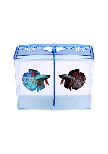 Suntek Masaüstü Ev Yatak Odası Için Küçük Beta Balık