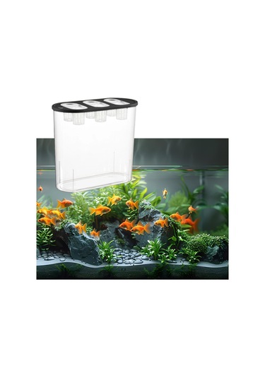 Homyl Hidroponik Yetiştirici Kutusu 6 Delikli Kapalı Masaüstü