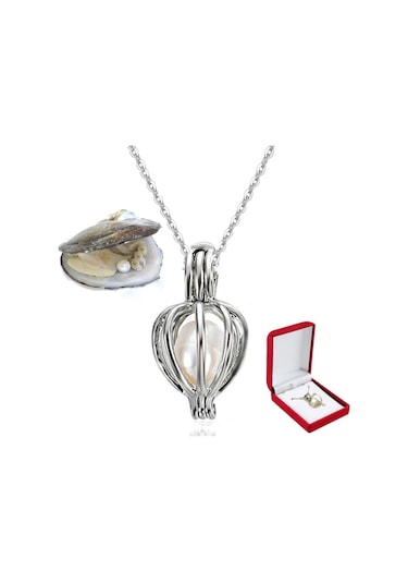 Gerçek Istiridye Içi Inci 925 Ayar Gümüş Kafes Inci Kolye