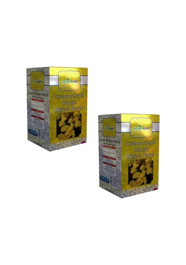 Hekimhan Bitkisel Civan Perçemli Macun 2 x 420 G