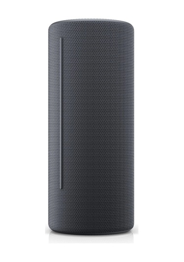 Loewe Hear 2 Bluetooth Hoparlör Storm Grey