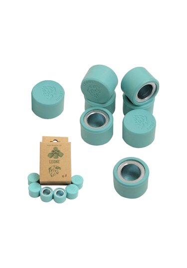 Sym Joyride 300 Leone Performans Bagası 18 Gr + Speedup Kızak Kaydırıcı Set