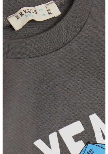 Breeze Girls & Boys Erkek Çocuk Uzun Kollu Tişört Şapkalı Havalı Aslancık Baskılı 1-4 Yaş, Füme-füme Füme