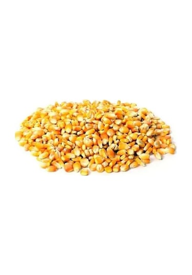 Cin Mısır 500 G