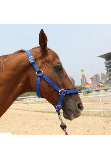 Homyl Ayarlanabilir Naylon Dokuma Binicilik Batı At Kırmızı-m Kırmızı M