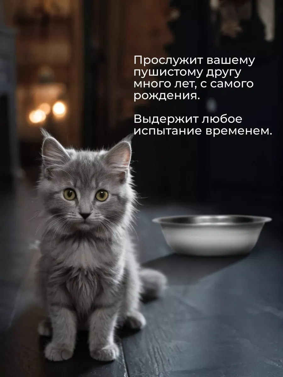 Myvi Kediler Ve Köpekler İçin Metal Mama Kabı 194943040