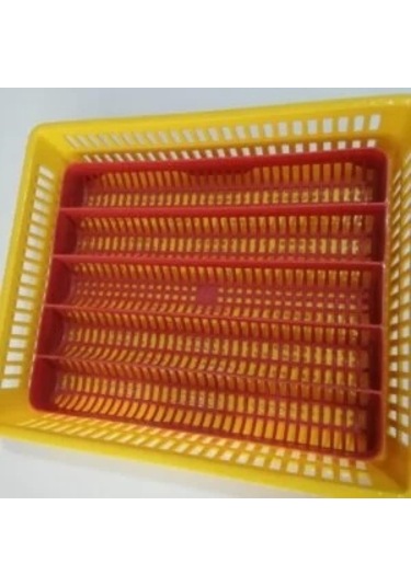 Gelişim ve Çıkım Tablası Küçük