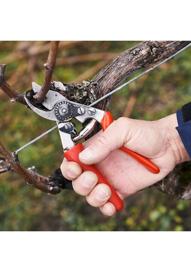 Felco 15 Budama Makası - 112218 Sağ By-Pass