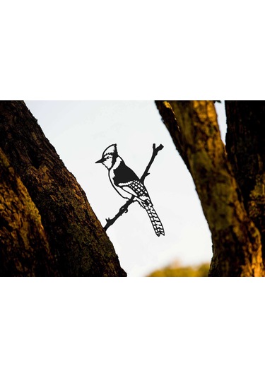 Xindoker Metal Kuş Silhoueti Bahçe Dekorasyonu - Çamurluk, Bahçe Ve Partiler İçin Nostaljik Atmosphere Sahip Zırh Tablo