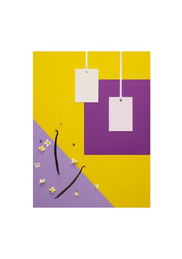 Marta La Farfalla Card Vanılla & Gırger – Vanilya & Zencefil Asma