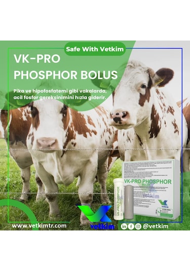 Vk-pro Phosphor Bolus - 24 Adet 185 Gr Yutturma Aparatı Hediyeli