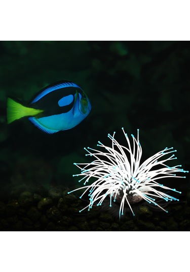 Xiyyadms Mavi Silikon Deniz Anemonu Dekoru: Akvaryum Tasarımı İçin Gerçekçi Ve Güvenli Aksesuar