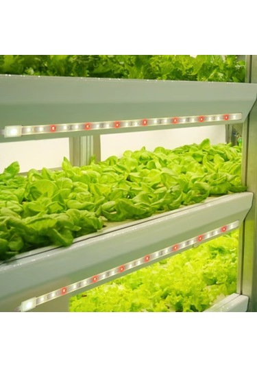 Reedark Bitki Büyüme Lambası: 4 Seviye Parlaklık, 24 Saat Zamanlayıcı, Usb Bağlantılı Kırmızı Ve Sıcak Led Işık Diğer