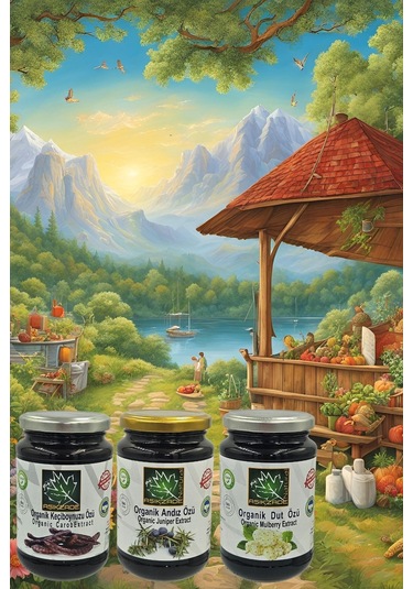 Aşıkzade Organik Özler Seti 3'lü