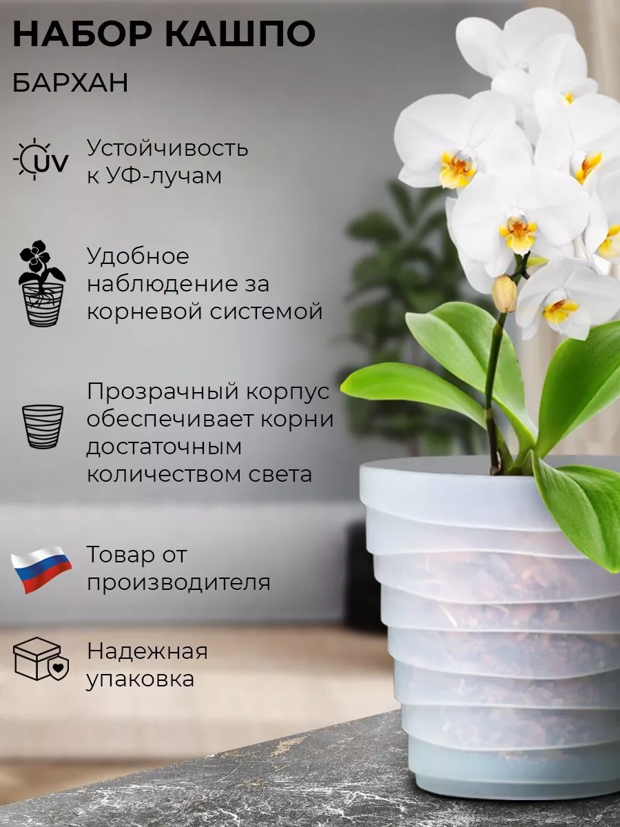 La Decoro Orkide Saksısı, Orkideler İçin Saksı, Orkide Saksıları 225950724