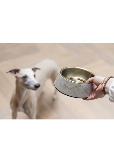 Beeztees Dbl Köpek Mama Su Kabı, Mat Altın Rengi Paslanmaz Çelik, Bej Mermer Görünümlü, 17,5cm, 350m
