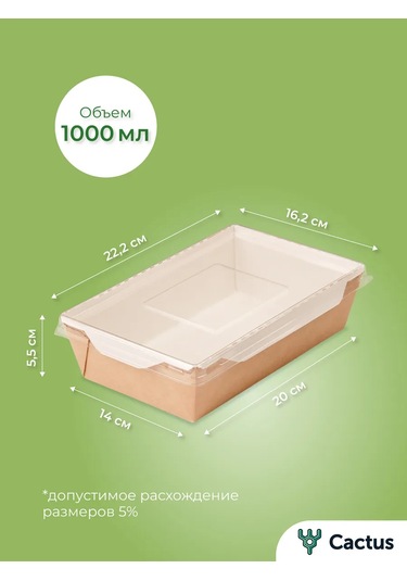 Cactus Tek Kullanımlık Trifolina Kutuları, 1000 Ml Yiyecek Kapları 224868224 100 adet