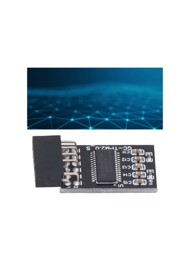 Tenfowee Gıgabyte İçin Güvenli Kripto İşlemci Tpm 2.0 Modülü - 12 Pin Spı/lpc Arayüzlü Kilit Oluşturma Ve Saklama Güvenlik Aksesuarı