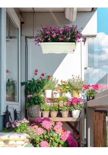 Yapay Çiçek Lila Papatya Küpeşte Askılı Saksıda Balkon Çiçeği Çiçek Sepeti