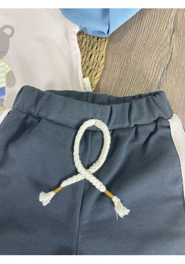 Teddy Ayıcık Baskılı Kapüşonlu Renkli Kol Detaylı Erkek Bebek Takım Açık Lacivert