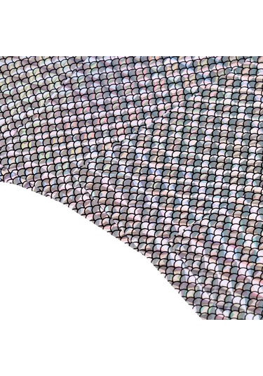 Suntek Dıy Balıkçılık Cazibesi Dış Ölçek Gümüş-1