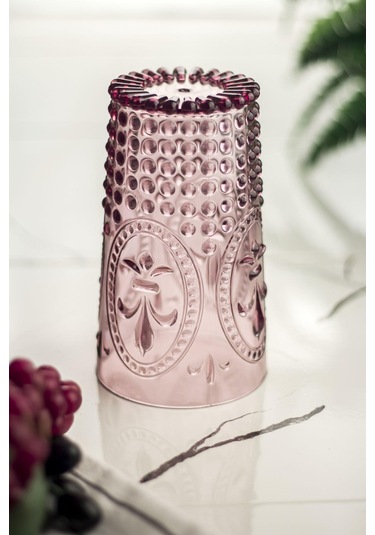 Akrilik Mürdüm Tekli Uzun Bardak & Su Meşrubat Bardağı 750 Ml Büyük Boy & Cam Değildir