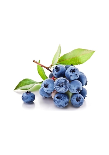Organik Bitkim Kırmızı Yaban Mersini Cranbreey 1 KG