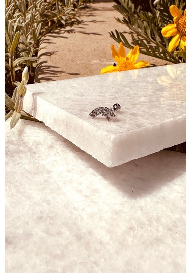 Star Sıra Yıldız Tasarım Zirkon Taşlı Şık Gümüş Renk Çelik Piercing Tragus Helix Stainless Steel Gümüş