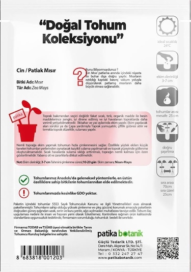 50 Adet Cin Mısır Tohumu