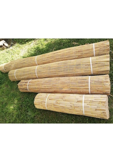Çit Hasır Kamış Çit 1M X 3M