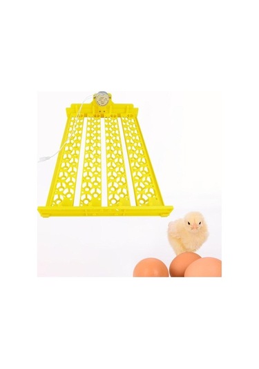 Pazly Yumurta Suntek Mini Makinesi Kümes Kuluçka Hayvanları, 88 Dw