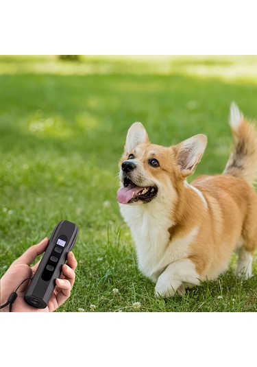 Willowhaven Portable Köpek Kovucu 3 Kanal Sesli Ultrasonik Caydırıcı El Feneri Siyah 1 Adet