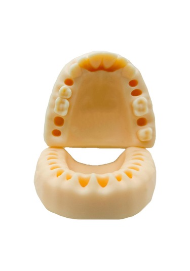 Barışhan Medikal Silikon Çene Diş Dikiş Modeli Ortodontik Alt Üst Çene Periodontal Sütür Eğitim Modeli-4