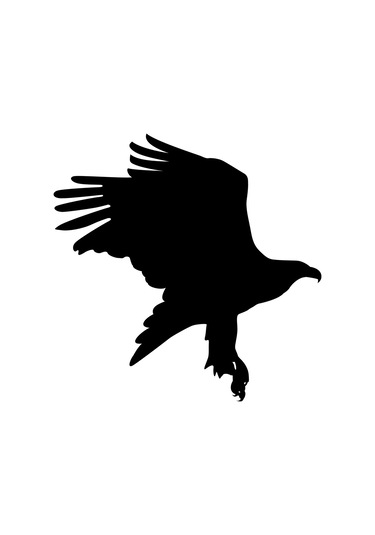 Folyo Sticker Kartal Adkpquy624 160cm Uzunluk Siyah