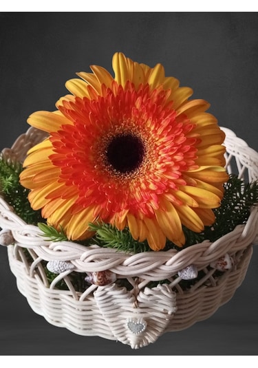 Bambu El Yapımı Çok Amaçlı Sepet Deniz Kabukları Arajmanlı 18 Cm Bej