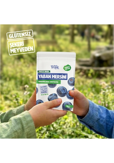 Dondurularak Kurutulmuş Yaban Mersini 18 G Freeze Dried Meyve Cipsi Çıtır Meyve Kurusu 12 Adet