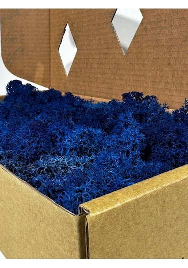 Reindermoss Şoklanmış Norveç Yosunu Terarium Yosunu Mavi 5 Kg.