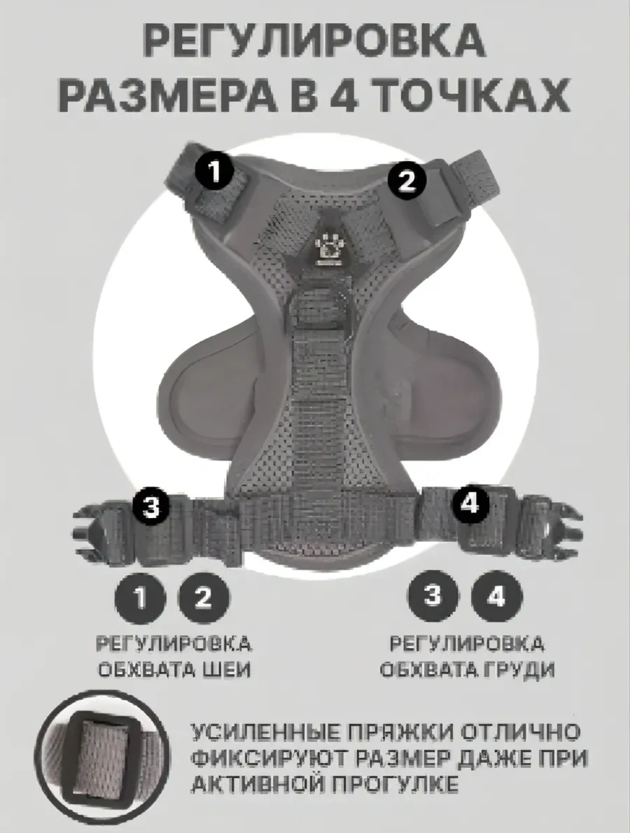 Tori Küçük Ve Orta Irklar İçin Tasmalı Köpek Kayışı Ve Kedi Şeridi 417711600