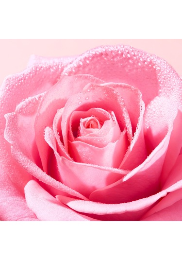 Very Rose Refreshing Tonic Lotion 200 Ml