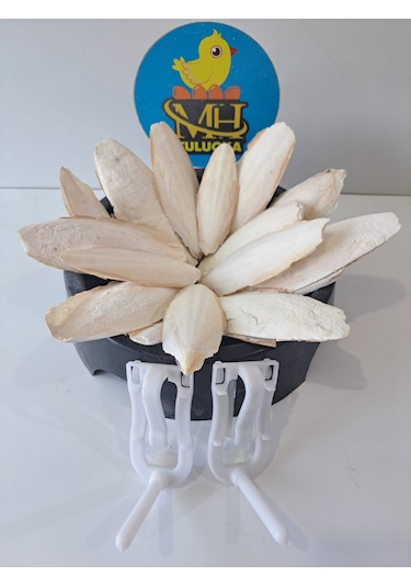 Mh Kalamar Kemiği 250 Gr + Kafes Aparatı 2 Adet