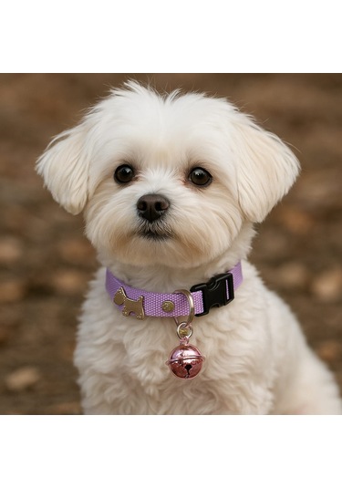 Mıt Köpek Figürlü Zilli Boyun Tasması Mor Mor