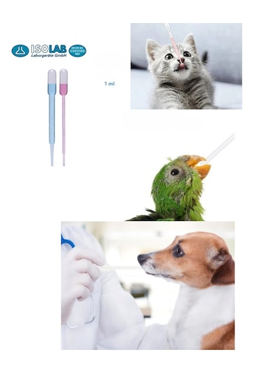 Pastör Pipet 1 Ml - 100 Adet - Plastik Damlalık Polietilen