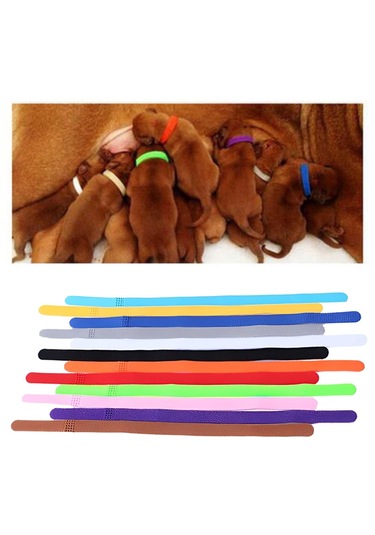 Homyl 12 Adet Tanımlama Köpek Tasmaları Ayarlanabilir Kimlik Açık Mor