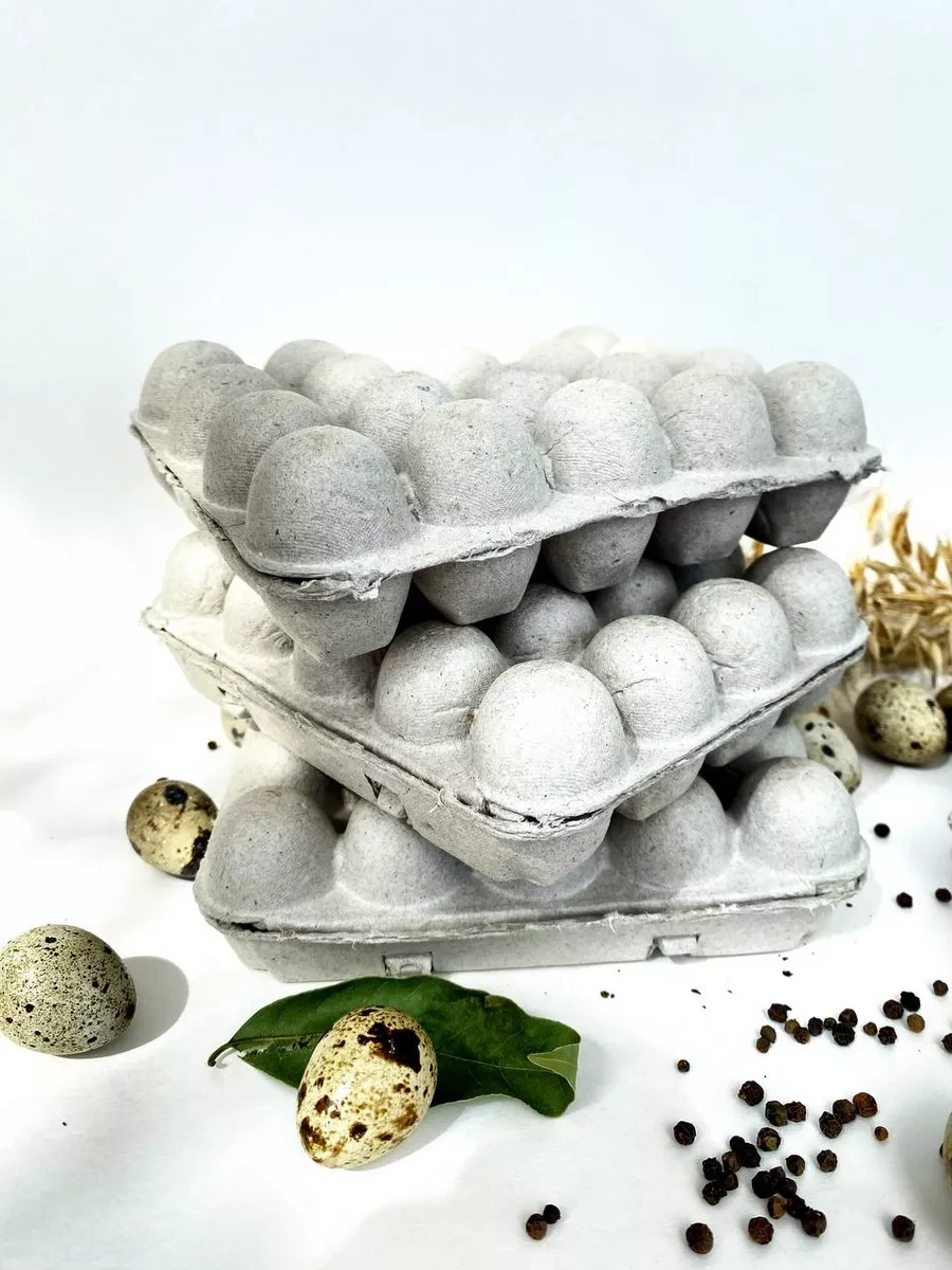 Tpt 20 Gözlü Bıldırcın Yumurtası Paketi 173910803 Bej