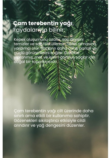 Tto Thermal Çam Terebentin Yağı 10 Ml