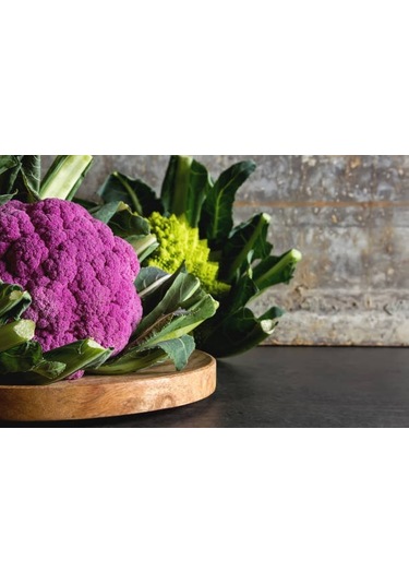 Sicilya Mor Karnabahar Tohumu