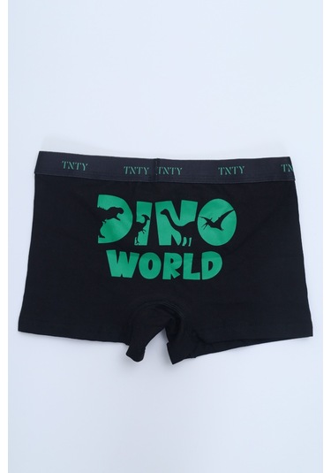 Toontoy Erkek Çocuk Baklava Desenli Baskılı 4lü Paket Boxer Çok Renkli