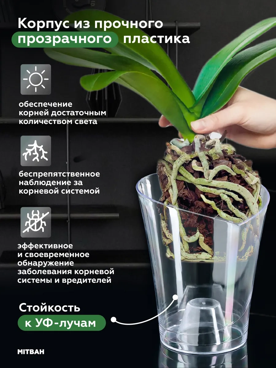 Mıtbah Şeffaf Saksı 2 Adet Orchids 74247176